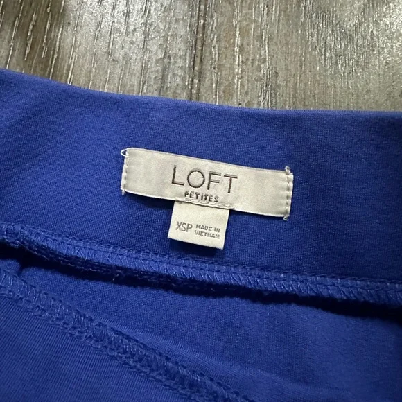 LOFT Skirt - Picture 5 of 8